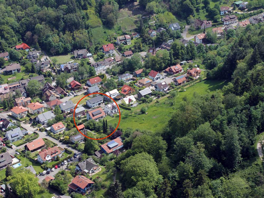 Waldrand Sulzburg